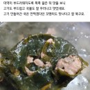 디에이치축산