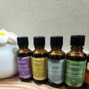 힐링탁구(B) | 상봉역 마사지 샵 아로마 케어로 힐링한 더하노이풋앤바디 청량리역점