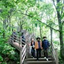 하회마을 종합안내소 이미지