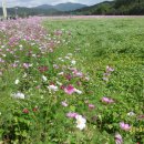 언양한우불고기 이미지