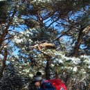 마당바위로 이미지