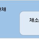 채소야채
