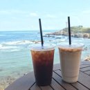 커피몬스터 이미지