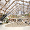 숲속에 아침 이미지