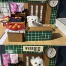 몽몽(MongMong) 이미지