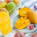 미켈란에이치의원 이미지