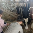 금와농장 이미지