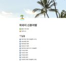 [하와이 신혼여행] 01.준비편 / 여행일정 노션으로 계획짜기, 숙소, 비행기, 비자, 국제면허증, 렌트카...