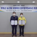 맑은유통 이미지