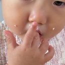 영원목장 | [매일유업/상하목장] 유기농 아기치즈 체험단 후기🧀
