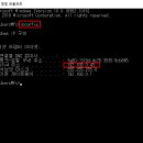 신도리코안 이미지