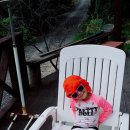 세인펜션 이미지