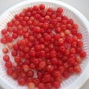 진숙농장 이미지