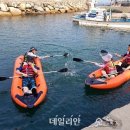 주전어촌체험마을 이미지