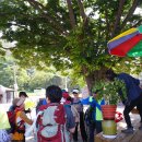 선인1리 이미지