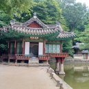 비원