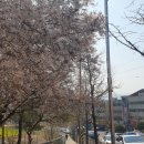 대한불교천태종대성사동해유치원 이미지