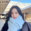 비테셴 이미지