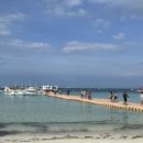 보라카이 이미지