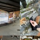 솔밭에온가마 | 칠곡 솔밭에온가마 대구근교 숯가마 황토 가족 데이트