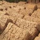 우리외가집 이미지