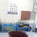 한발경로당 Daum카페