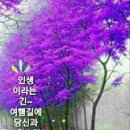보명 이미지