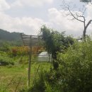 그늘막25 이미지