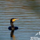 백화낚시터 이미지