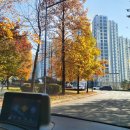 강소아과의원 이미지