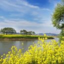 데굴데굴 이미지