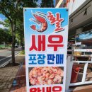 대교왕새우 이미지