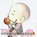 오늘은좋은날 이미지