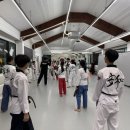 동탄용인대국가대표태권도 이미지