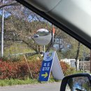 청마관 | 제 65회 전라남도 체육대회 역도 후기