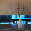 흘로 부산(Hlow Busan) 이미지