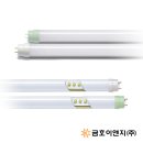 이앤지 이미지