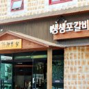 생포탄 이미지