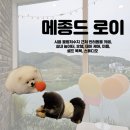 메종드 로이 이미지