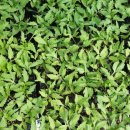 미래농약사 이미지