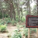 평화랜드 이미지