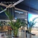 라인점핑 이미지