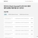 돌고래단