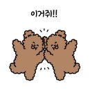 태양정육점 이미지