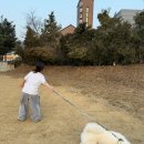 뽐스네일 - 남구 유엔평화로9번길 50 | 우리의 봄