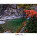 빛으로 그린 세상 이미지