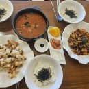 설화반점 이미지