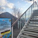 아리힐스(짚와이어) | [정선가볼만한곳] 지금가면 더 멋있을꺼 같은 &#39;아리힐스&#39; 스카이워크 후기입니다.뷰 최고~!!