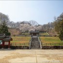죽계사竹溪祠 | [충북 진천] 벚꽃비 흩날리는 '길상사'
