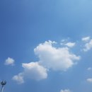청명 태양광발전소 이미지